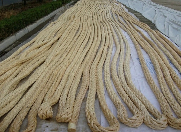 ߷ϩUHMWPEߣؽg܇?yn)K