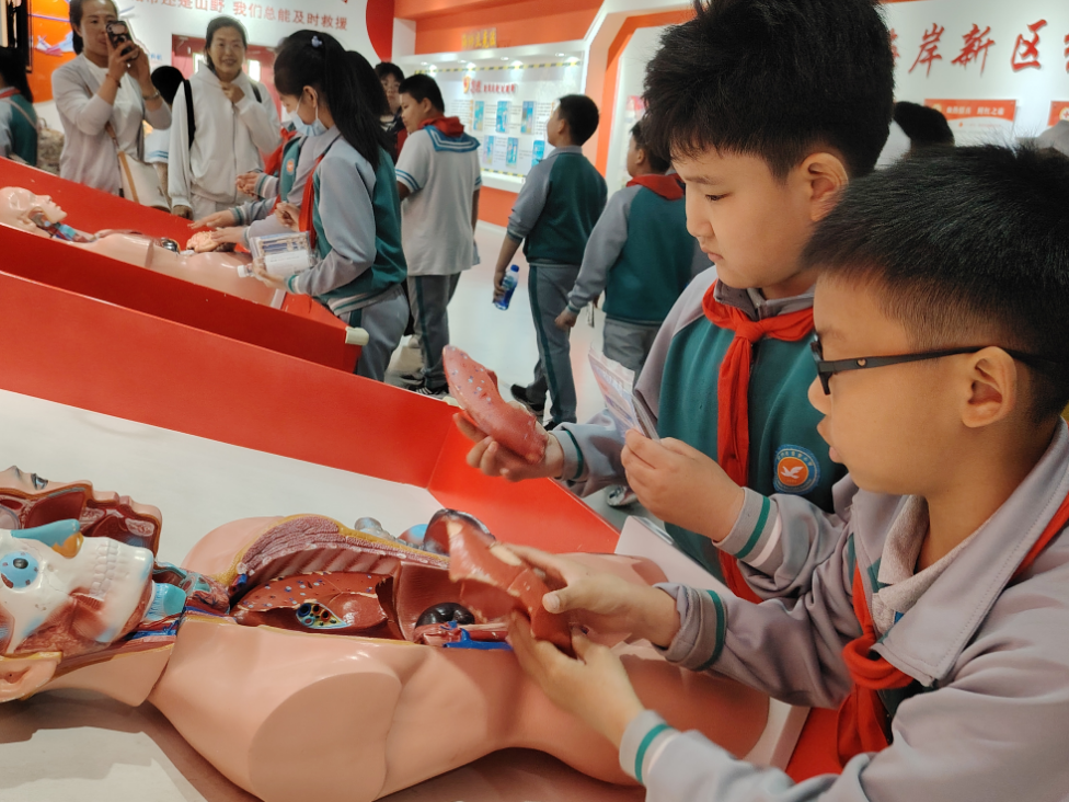 紅十字應(yīng)急救護培訓基地